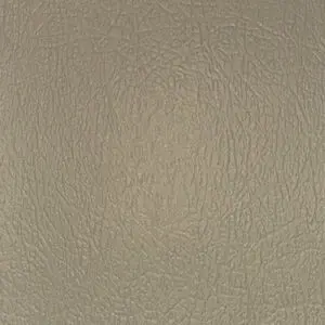 Kanga Texture