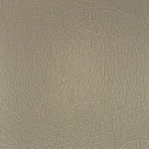 Kanga Texture