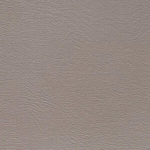 Medium Neutral Texture